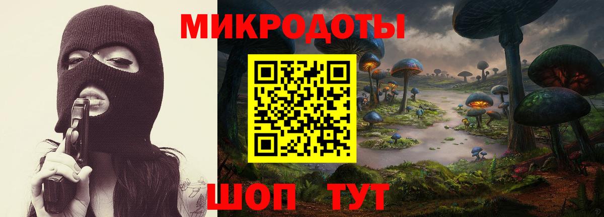 Галлюциногенные грибы Psilocybe  Вход с VPN  Псилоцибиновые грибы Psilocybine cubensis  Самара 